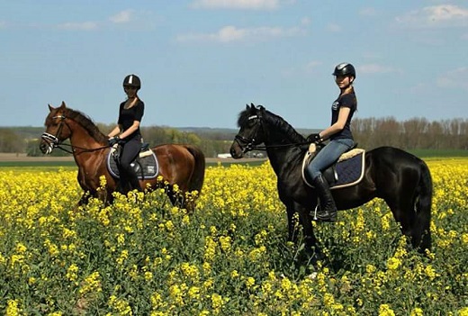 Kooihuster Wessel & Springtime